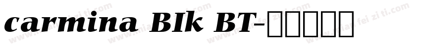 carmina BIk BT字体转换